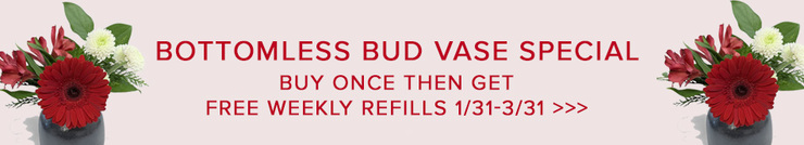 Bottomless Bud Vase Special