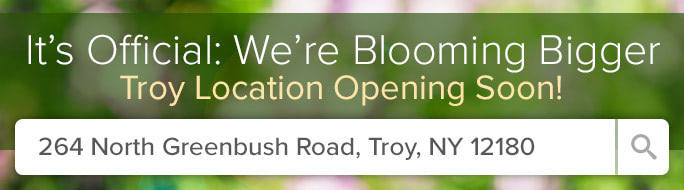 New Location Coming Soon