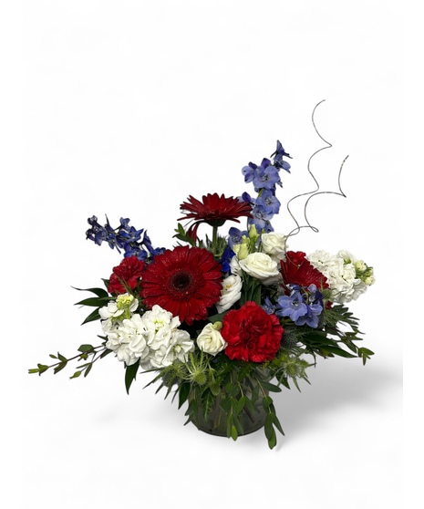 Stars and Stripes Splendor