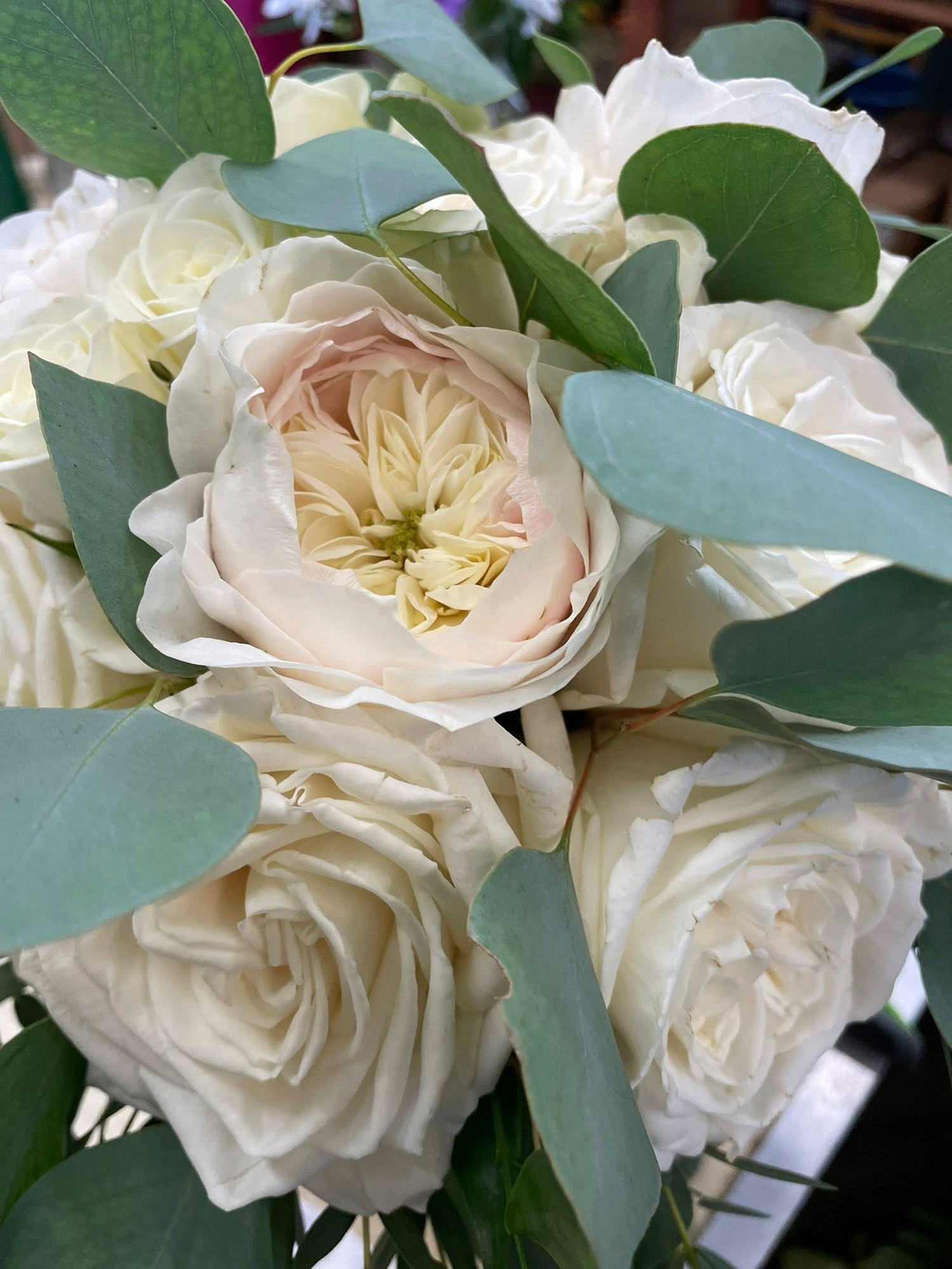 Pat's Barn October 2025